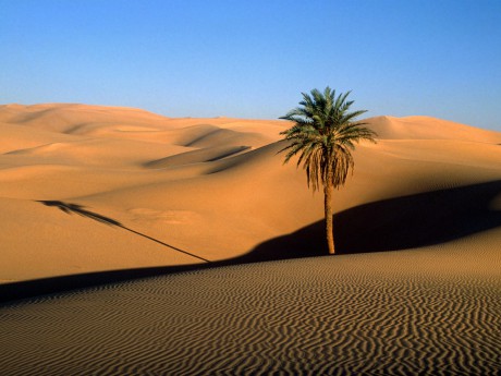 The-Sahara-Desert